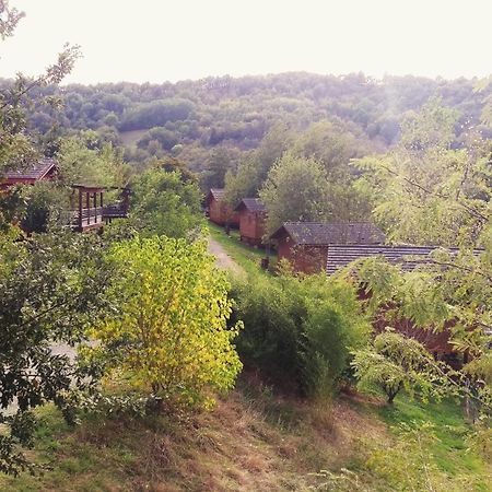 La Ferme Du Duzou Villa Saint-Cyprien-sur-Dourdou Exteriör bild