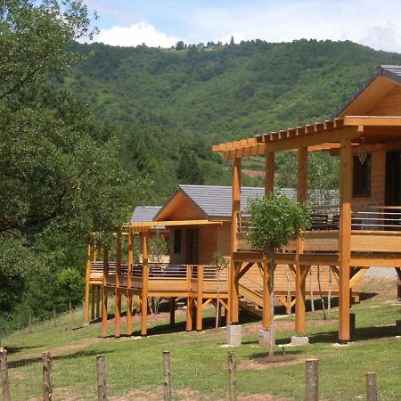 La Ferme Du Duzou Villa Saint-Cyprien-sur-Dourdou Exteriör bild