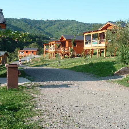 La Ferme Du Duzou Villa Saint-Cyprien-sur-Dourdou Exteriör bild