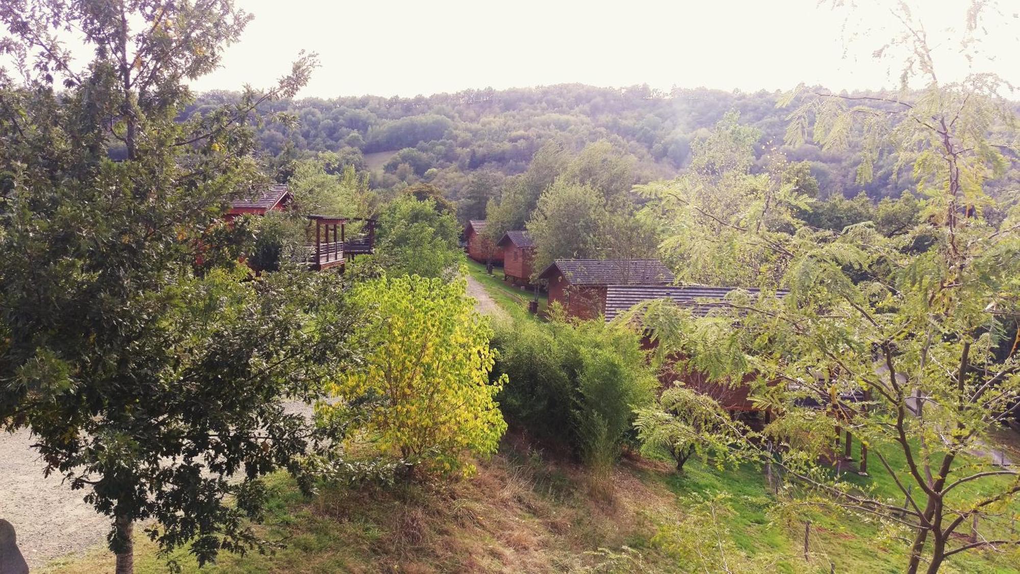 La Ferme Du Duzou Villa Saint-Cyprien-sur-Dourdou Exteriör bild